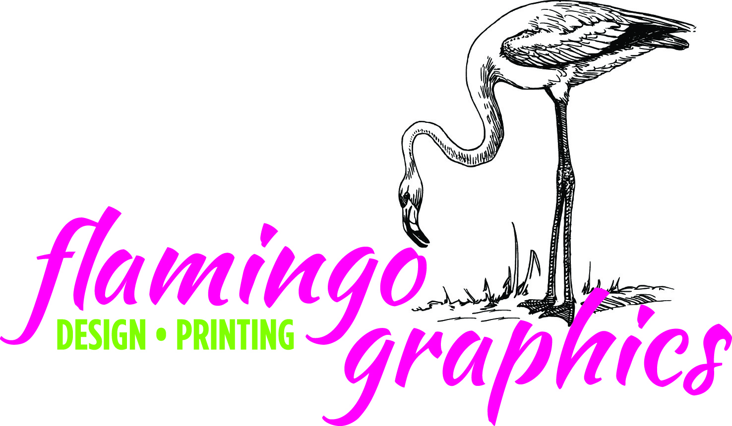 Flamingo Graphics logo.