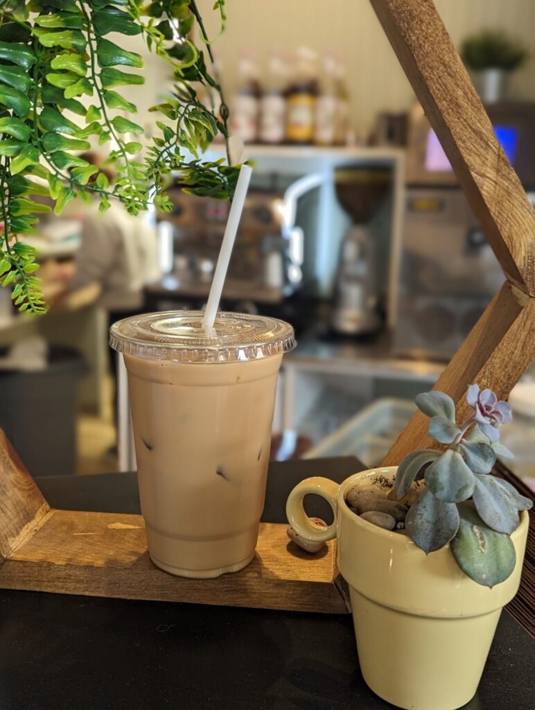 Iced coffee siting on counter beside indoor plants.