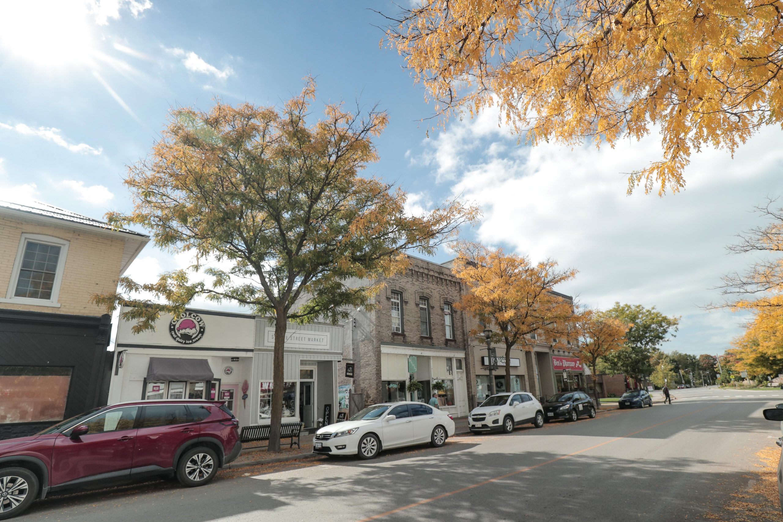 Downtown Beaverton streetscape with trees in the fall.
